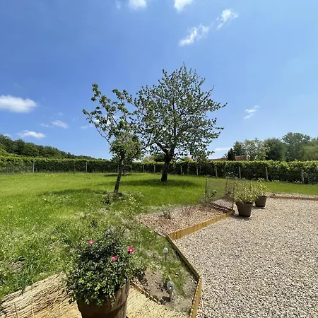 Cosy En Foret Avec Terrasse, Proche Etang Et Loisirs, 3 Chambres, Wifi, Plancha Et Parking - Fr-1-489-453 Hébergement de vacances *